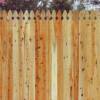 Gothic picket