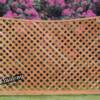 Full Lattice